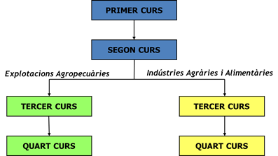 Gràfic de les dues especialitats del grau